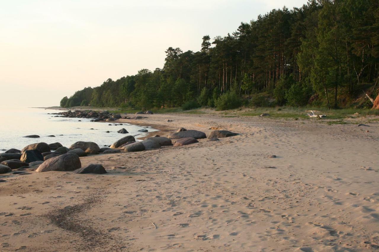 Jaunzemji Dzeņi Exterior foto